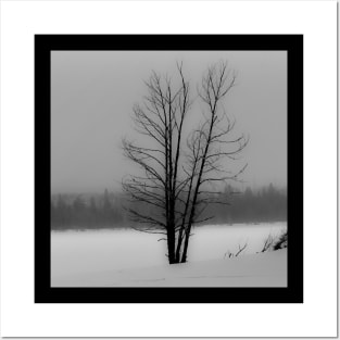 Tree in a winter storm Posters and Art